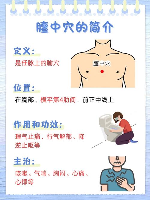 膻中穴位置图穴位密码网