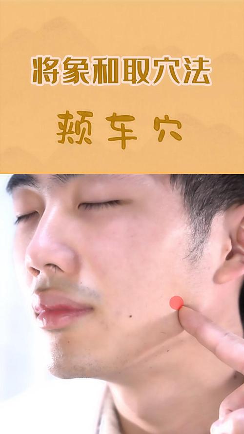 下关穴位和颊车穴位在哪