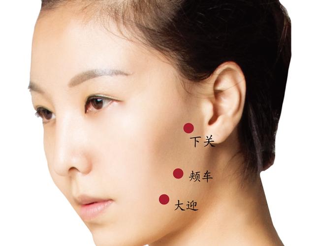 下关穴位和颊车穴位在哪