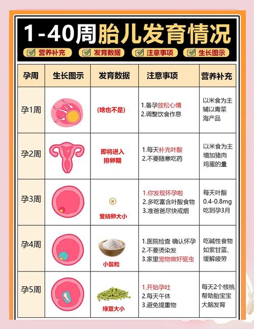 孕早期注意事项及饮食禁忌