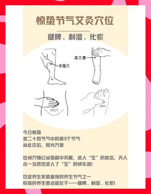 惊蛰养生艾炙什么穴位