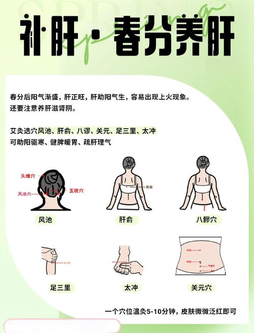 惊蛰养生艾炙什么穴位