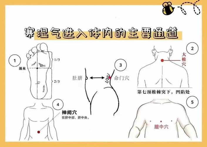 体内湿热按摩什么穴位