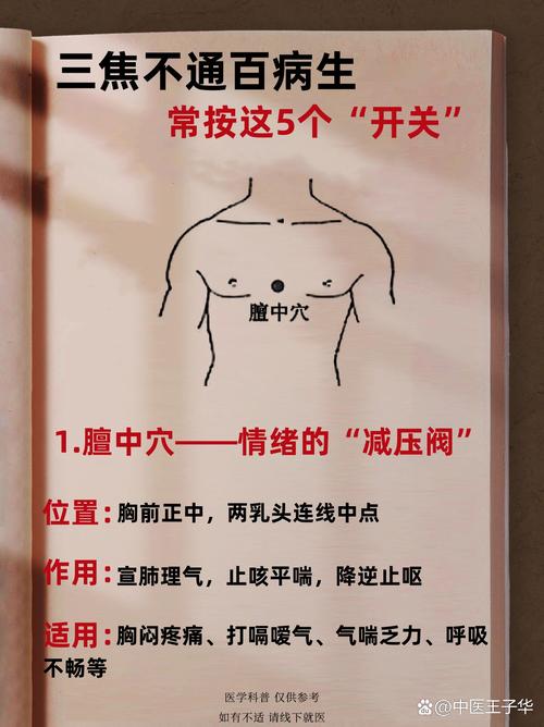 体内湿热按摩什么穴位