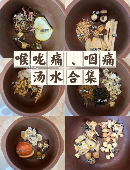 发烧 咽喉化脓 饮食