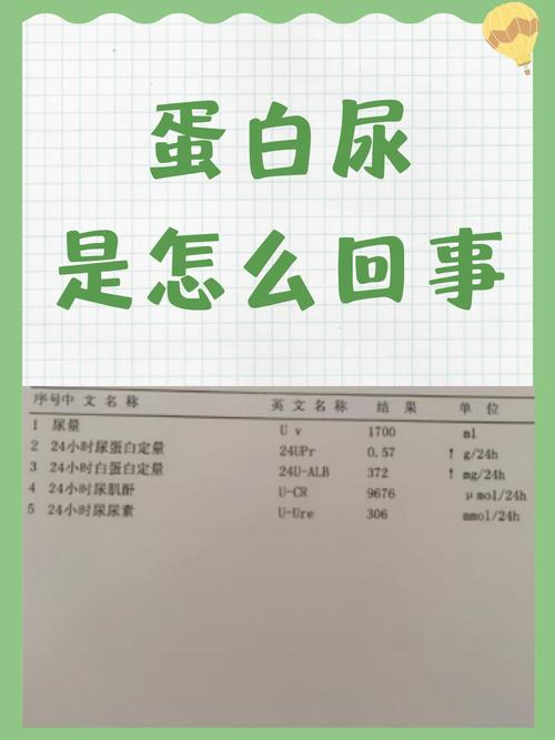 尿蛋白质2十怎样饮食