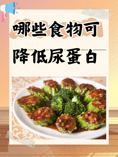 尿蛋白质2十怎样饮食