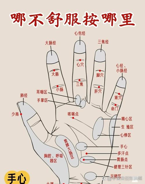 左手大拇指内侧穴位图