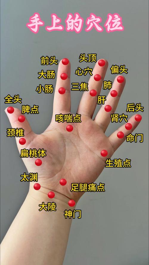 左手大拇指内侧穴位图