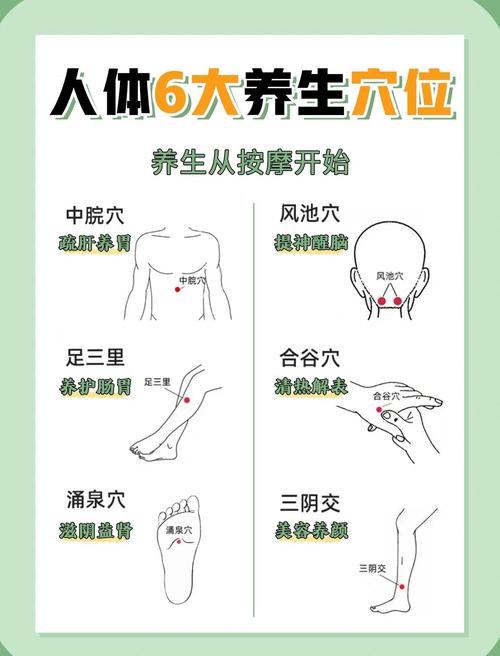 舒筋活络按摩什么穴位