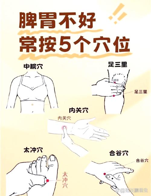 肠功能紊乱按什么穴位