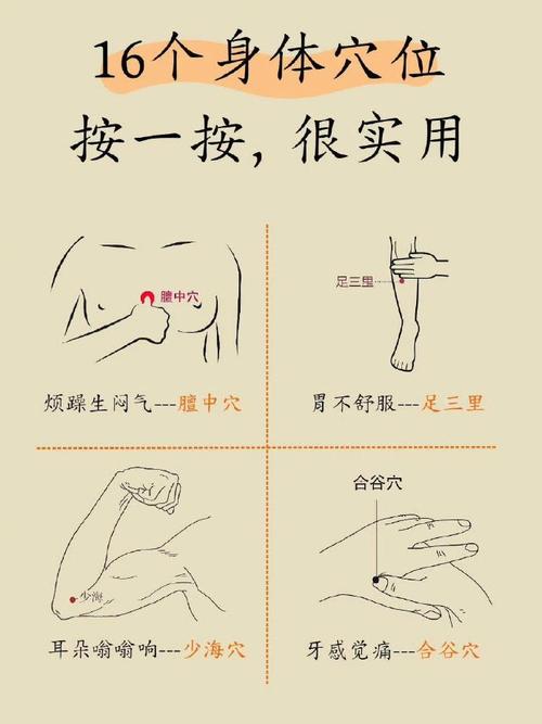 低压偏高按什么穴位