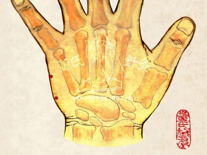 手腕背面有什么穴位