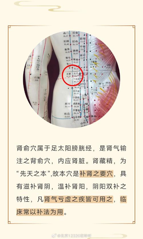 肾虚该按摩哪些穴位