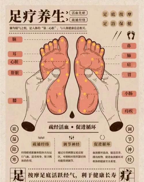 胃恶心按摩脚底穴位