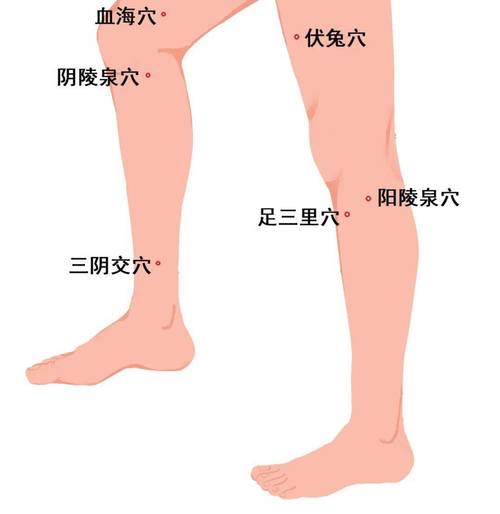 膝盖内侧有哪些穴位