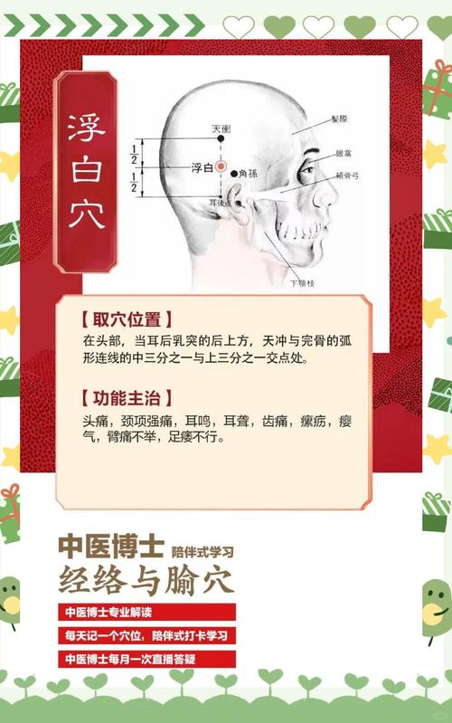 浮白穴位的准确位置