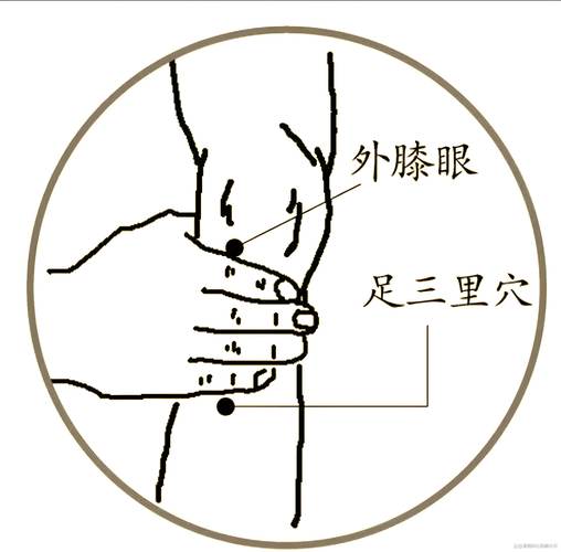 尿蛋白增高穴位治疗