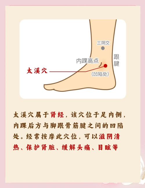 孕妇肾虚按什么穴位