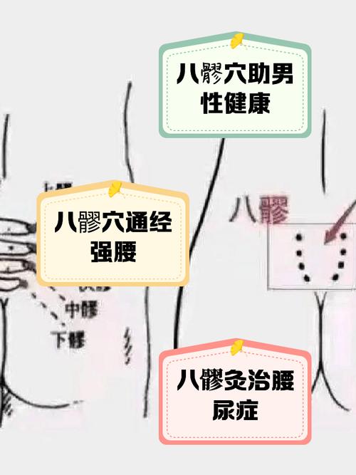 男性精子穴位有哪些