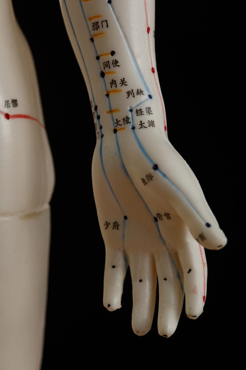 女性性冷淡针灸穴位