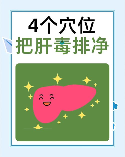 哪个穴位能保养肝脏