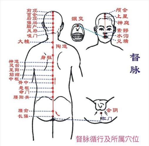 十二经络腰部穴位图