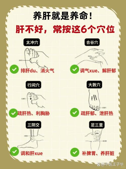 肝炎按哪个穴位最好