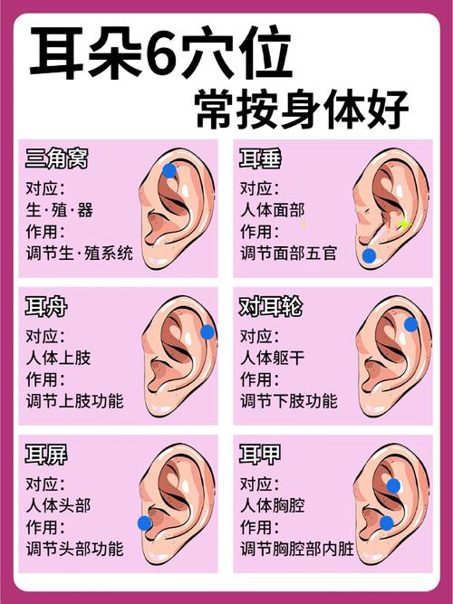 按耳朵穴位预防近视