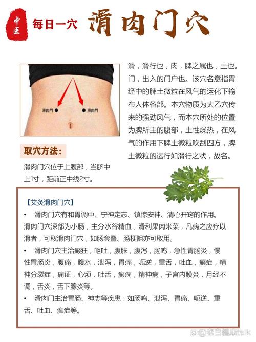 滑肉门穴位置与作用