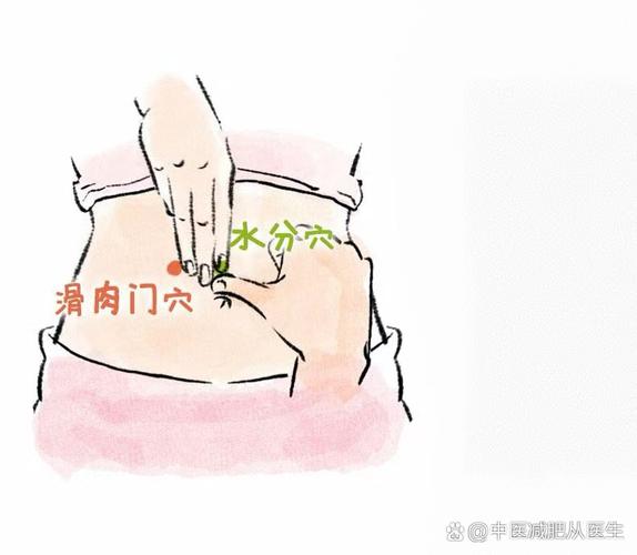 滑肉门穴位置与作用
