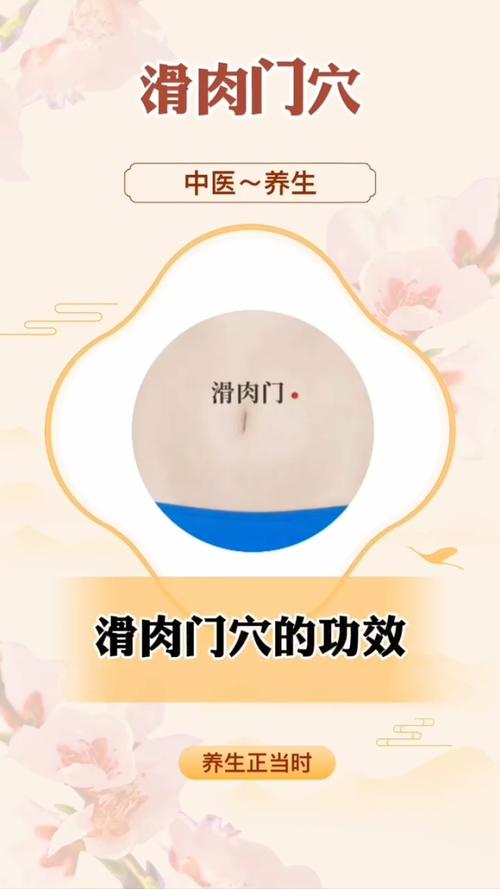 滑肉门穴位置与作用