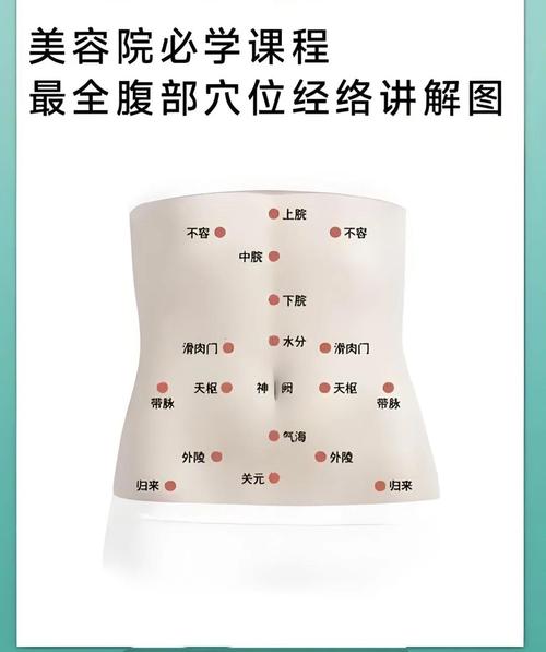肚子按摩哪个穴位图