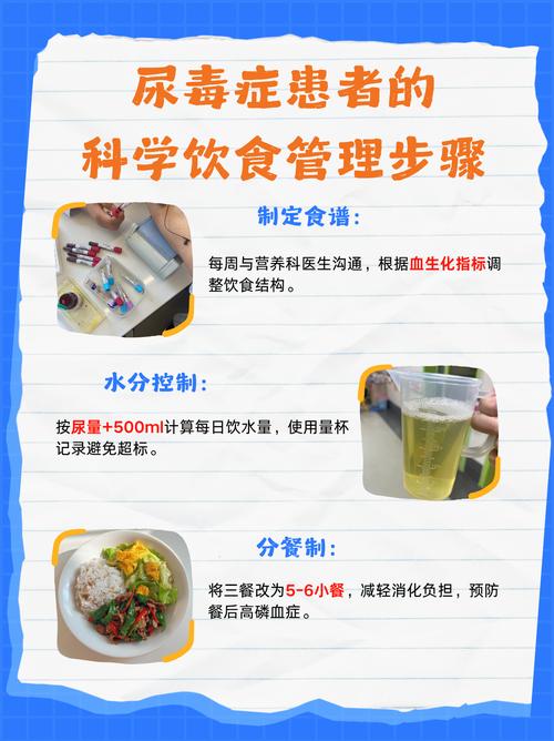 透析患者饮食怎样调理