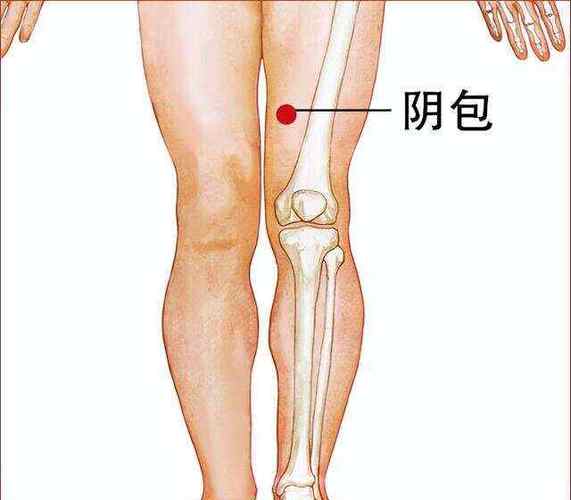 阴囊痛艾灸哪个穴位