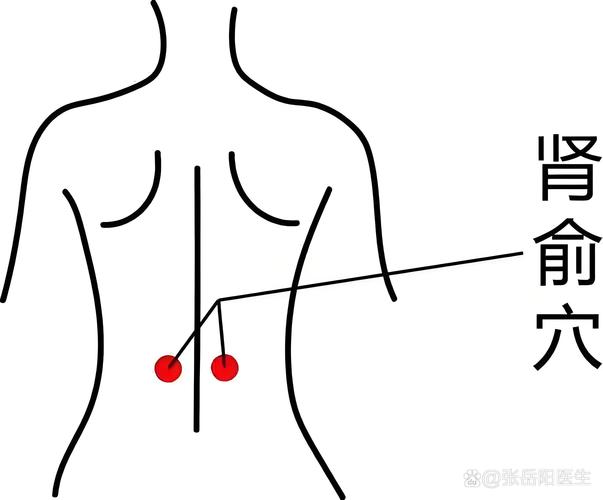尾椎上方是什么穴位