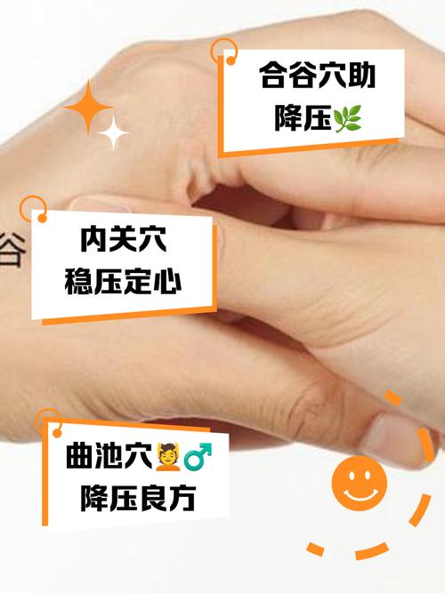 低血压指压哪个穴位