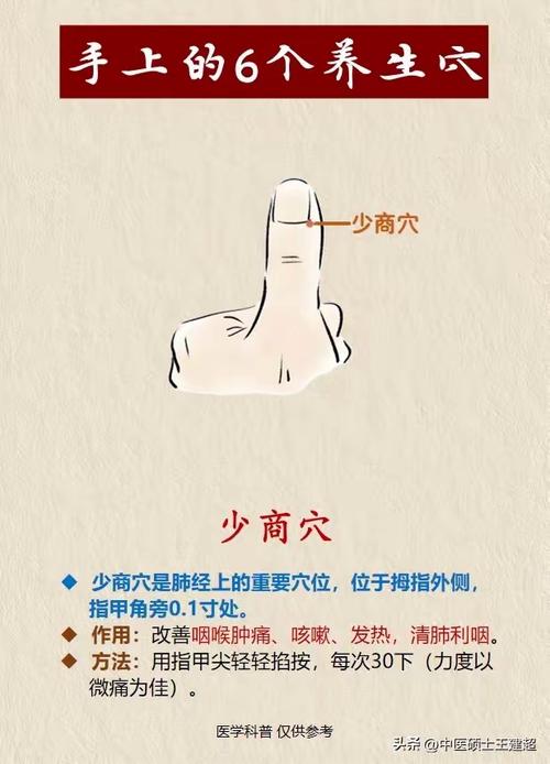 低血压指压哪个穴位