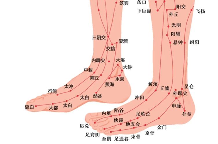 天使穴位位置在哪里