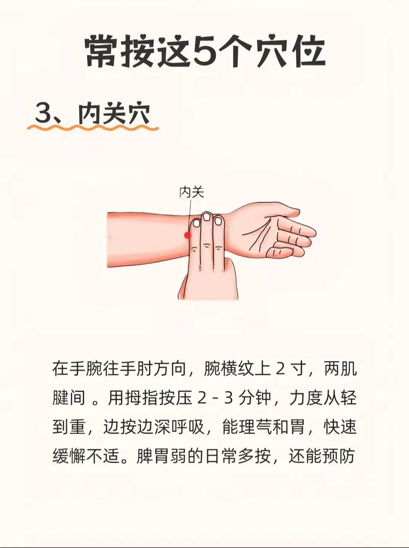 提高肠胃功能的穴位