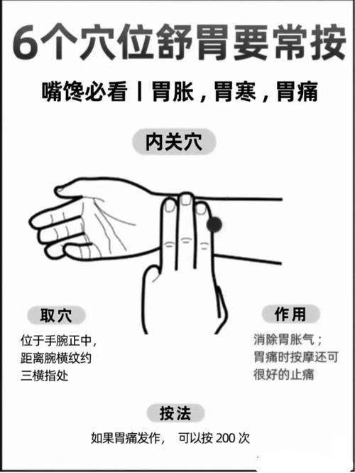 提高肠胃功能的穴位