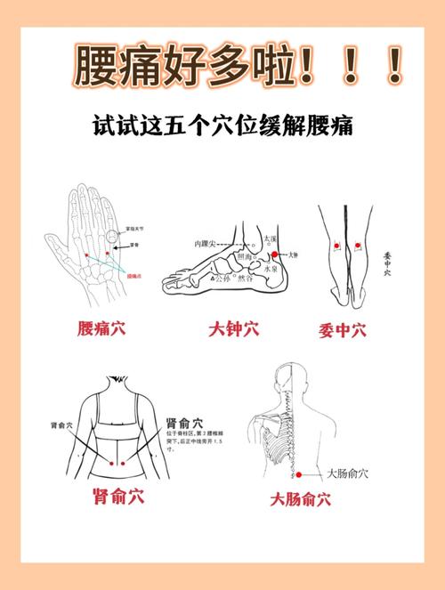肾虚腰疼按什么穴位