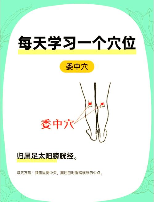 肾虚腰疼按什么穴位