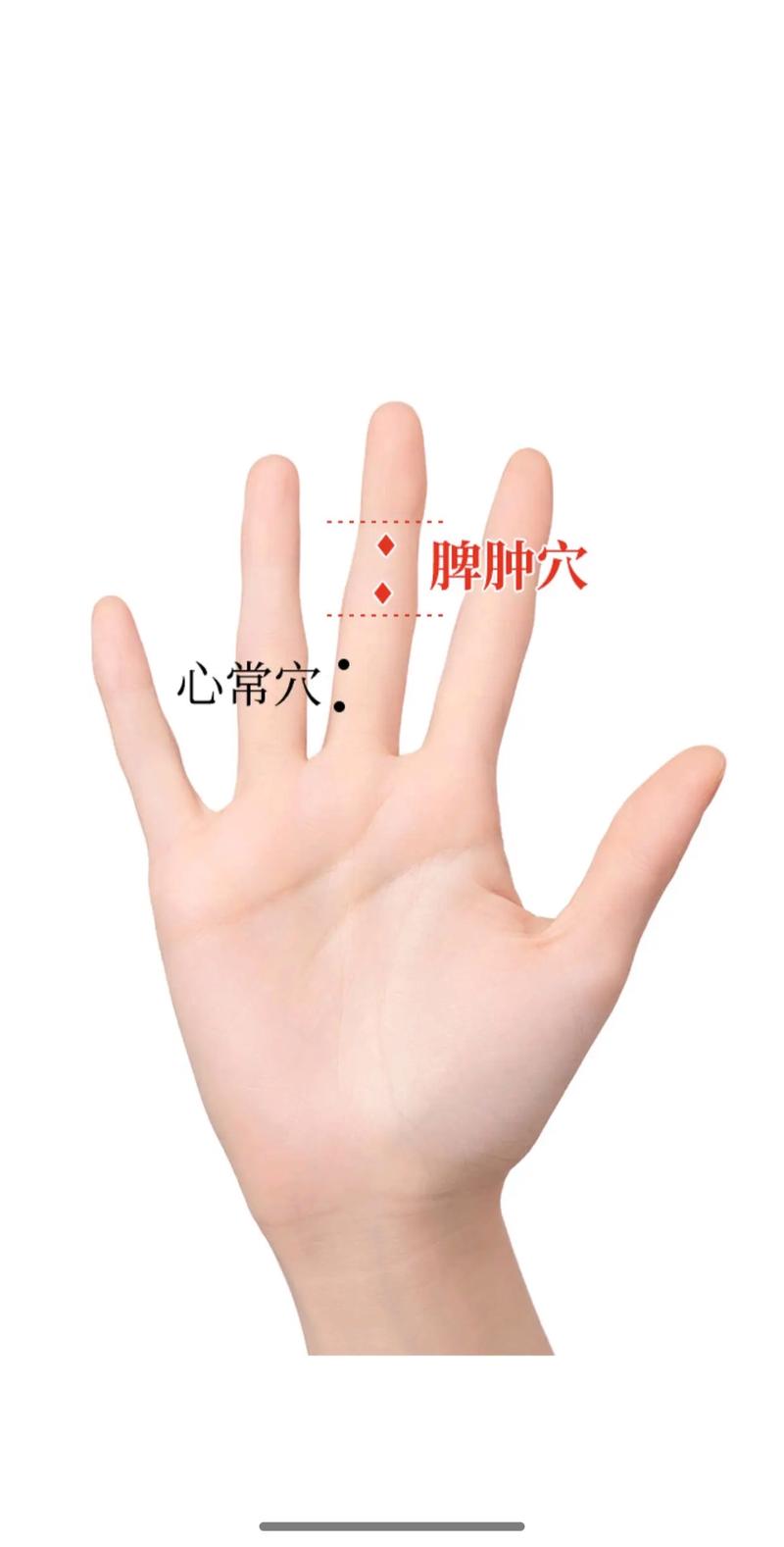 心气不足按哪个穴位