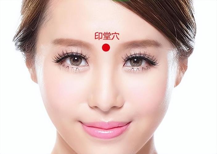 人体头部穴位图印堂