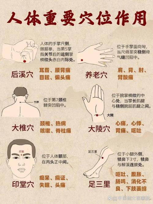 中都穴位浮肿的原因