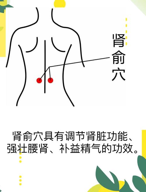 肾结石可按哪些穴位