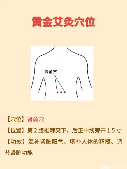 肾结石可按哪些穴位