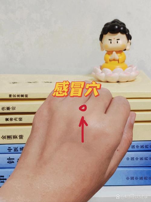 预防感冒炙什么穴位