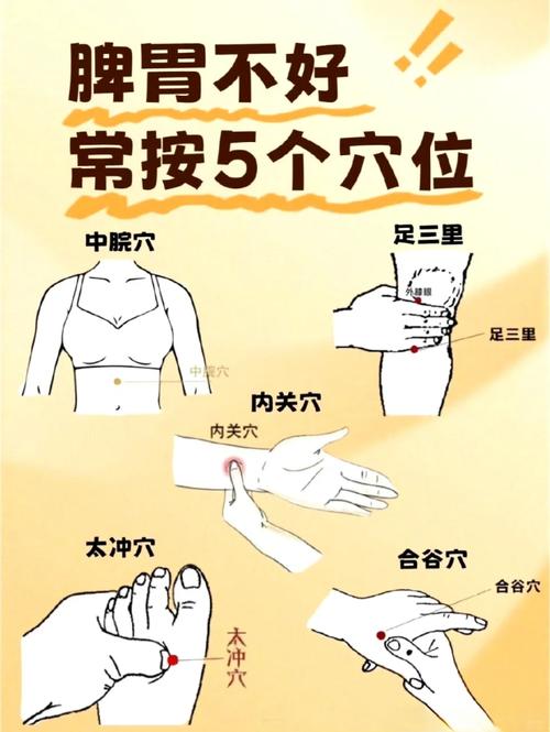 按什么穴位治疗脾虚